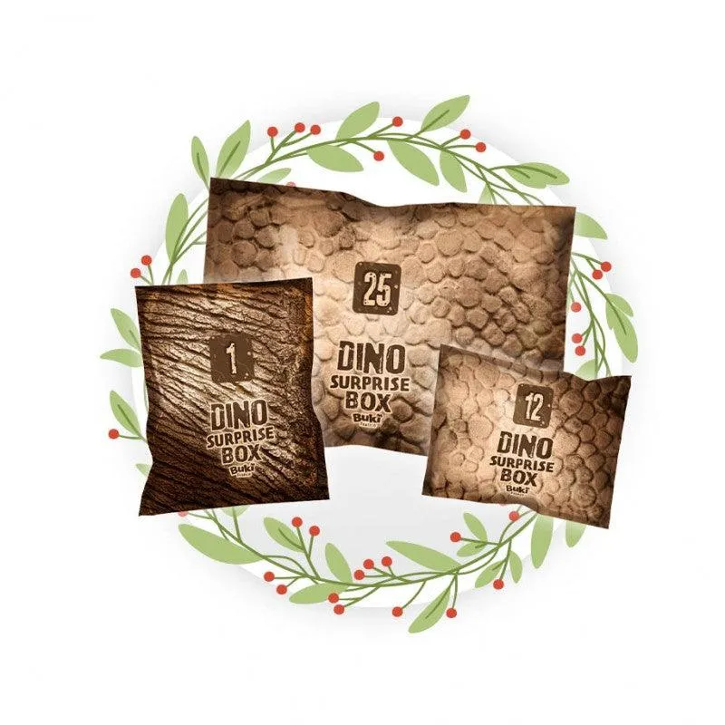 BUKI France Dino Surprise Box