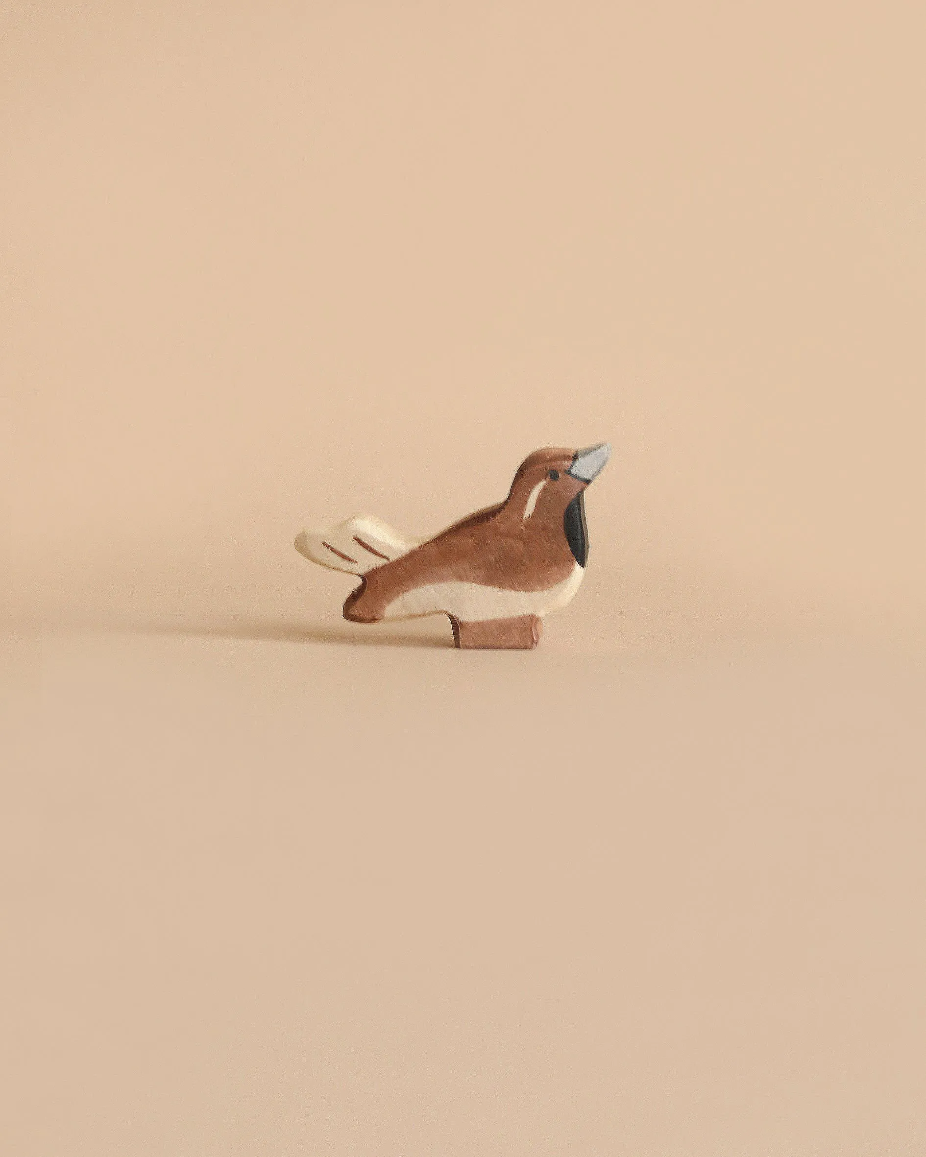 Holztiger Sparrow Bird Odin Parker