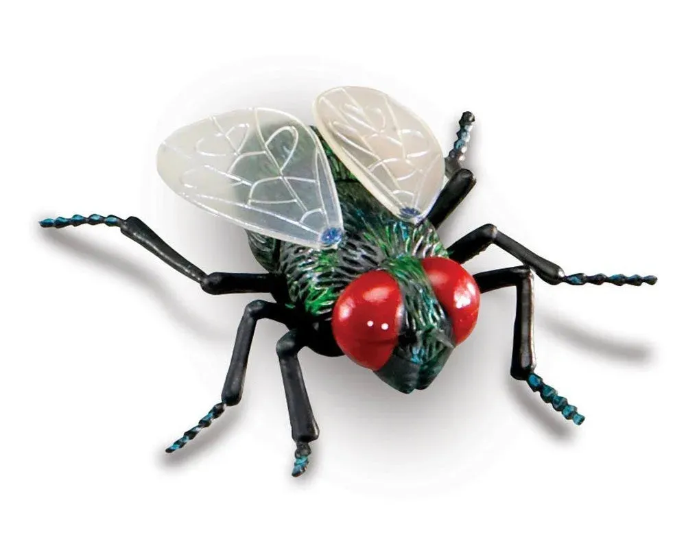 Learning Resources Jumbo Insects