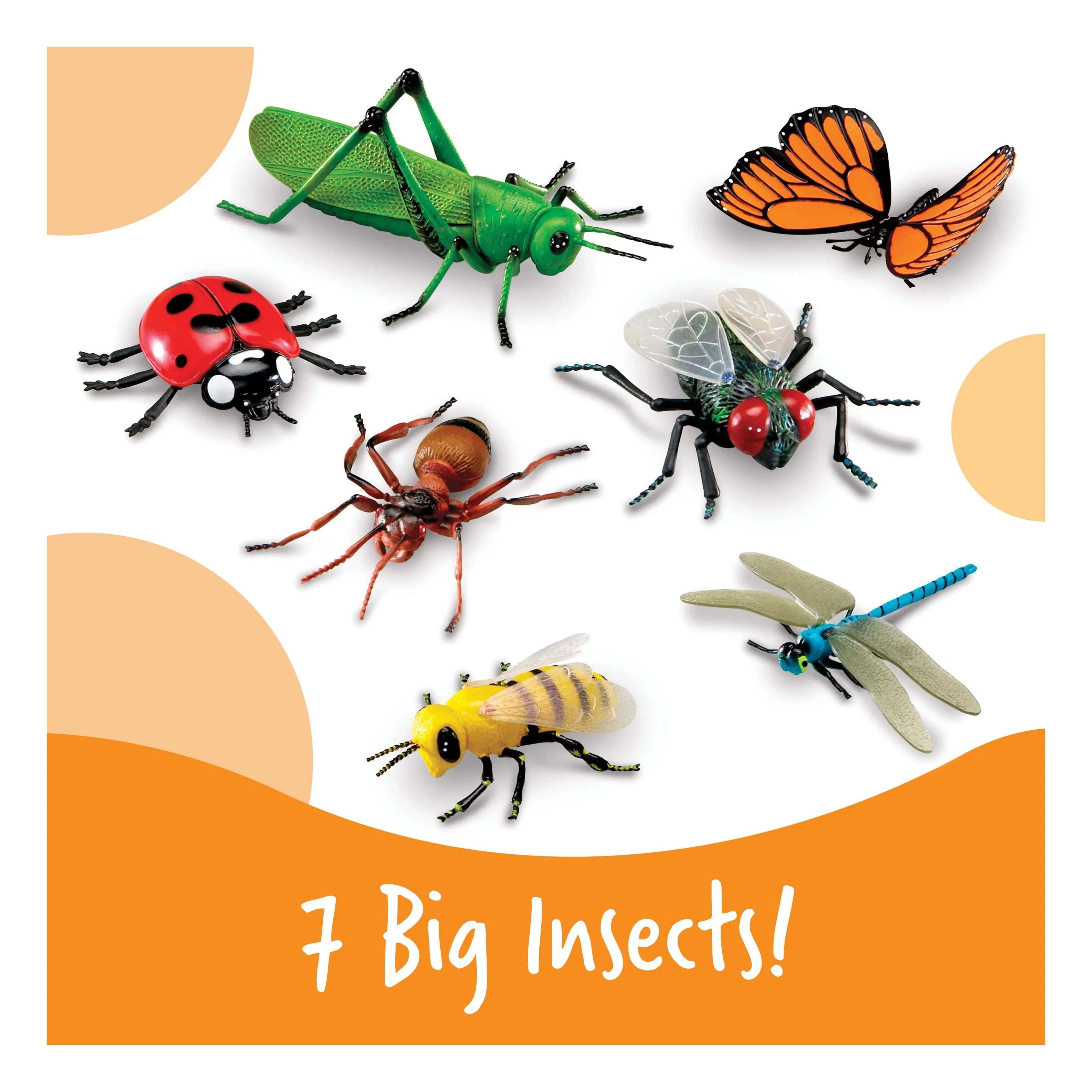 Learning Resources Jumbo Insects