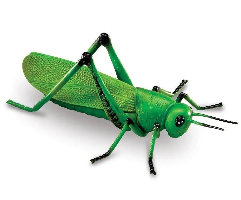 Learning Resources Jumbo Insects