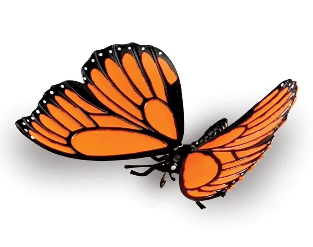 Learning Resources Jumbo Insects