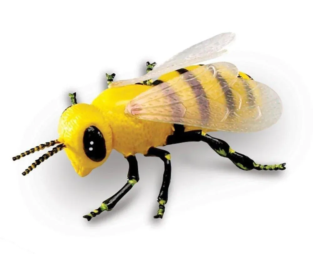 Learning Resources Jumbo Insects