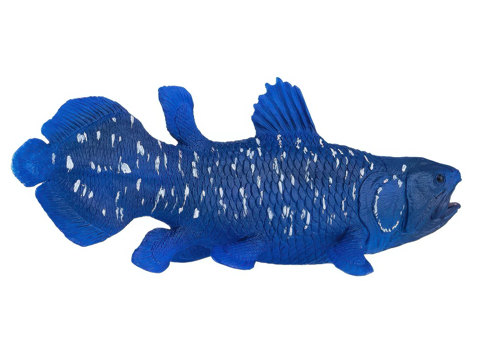 Mojo 381050 Sea Life Coelacanth Figure