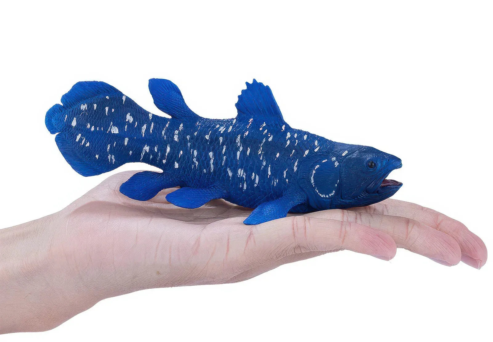 Mojo 381050 Sea Life Coelacanth Figure
