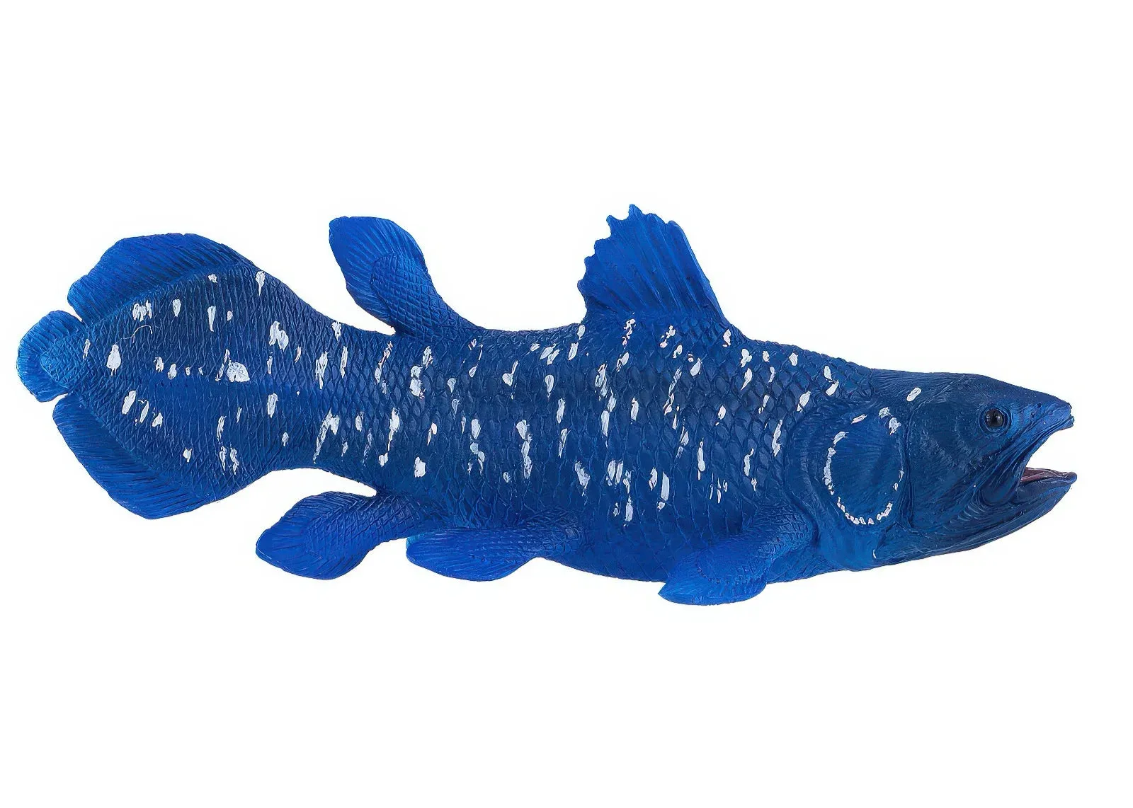 Mojo 381050 Sea Life Coelacanth Figure