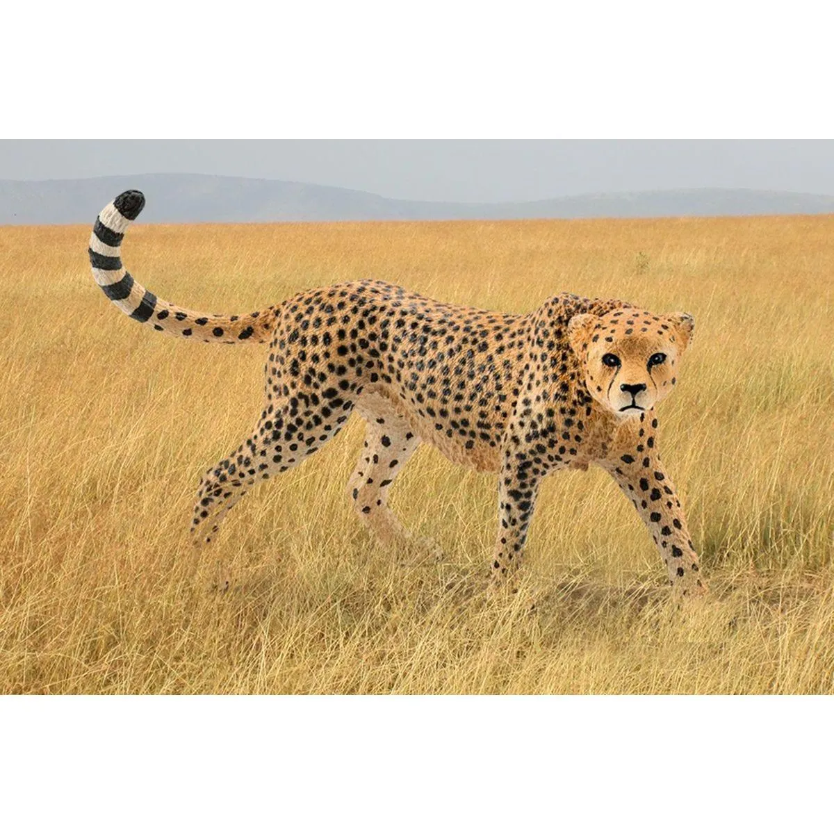 Schleich 14746 Cheetah Female Figure