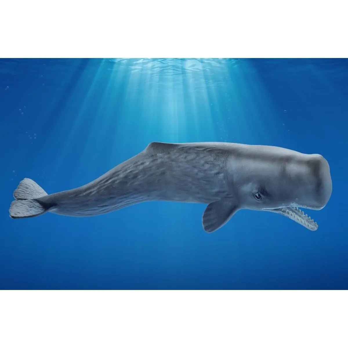 SCHLEICH 14764 Sperm Whale Figure