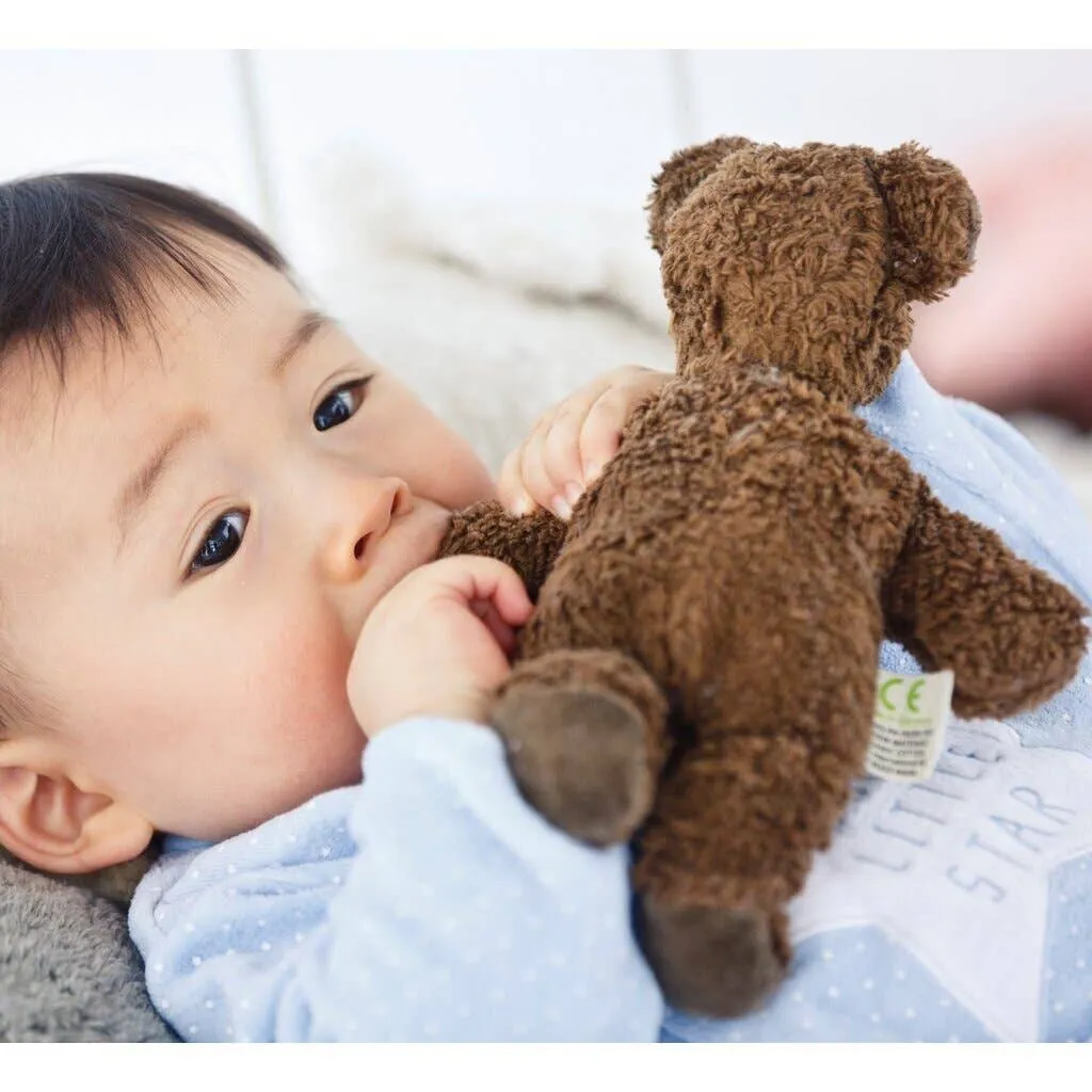 Senger Naturwelt Stuffed Animal - Brown Bear Odin Parker