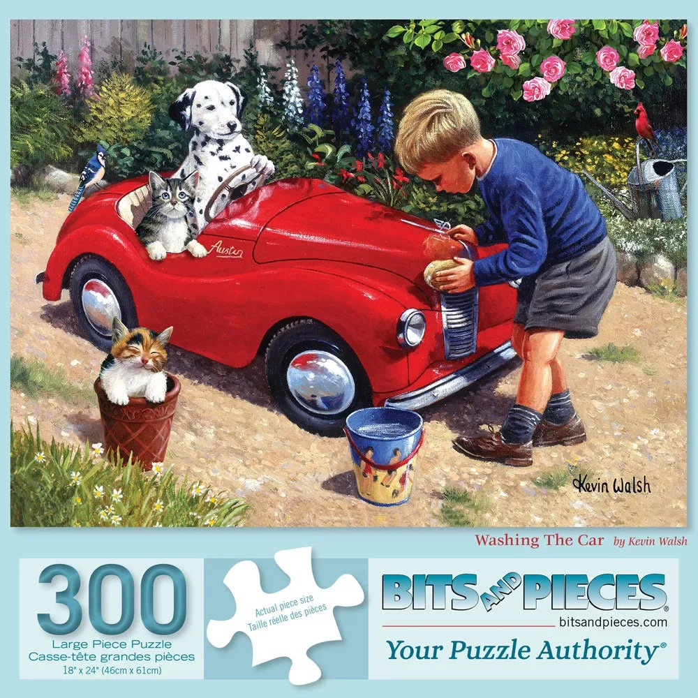 Washing The Car Jigsaw Puzzle Bits and Pieces