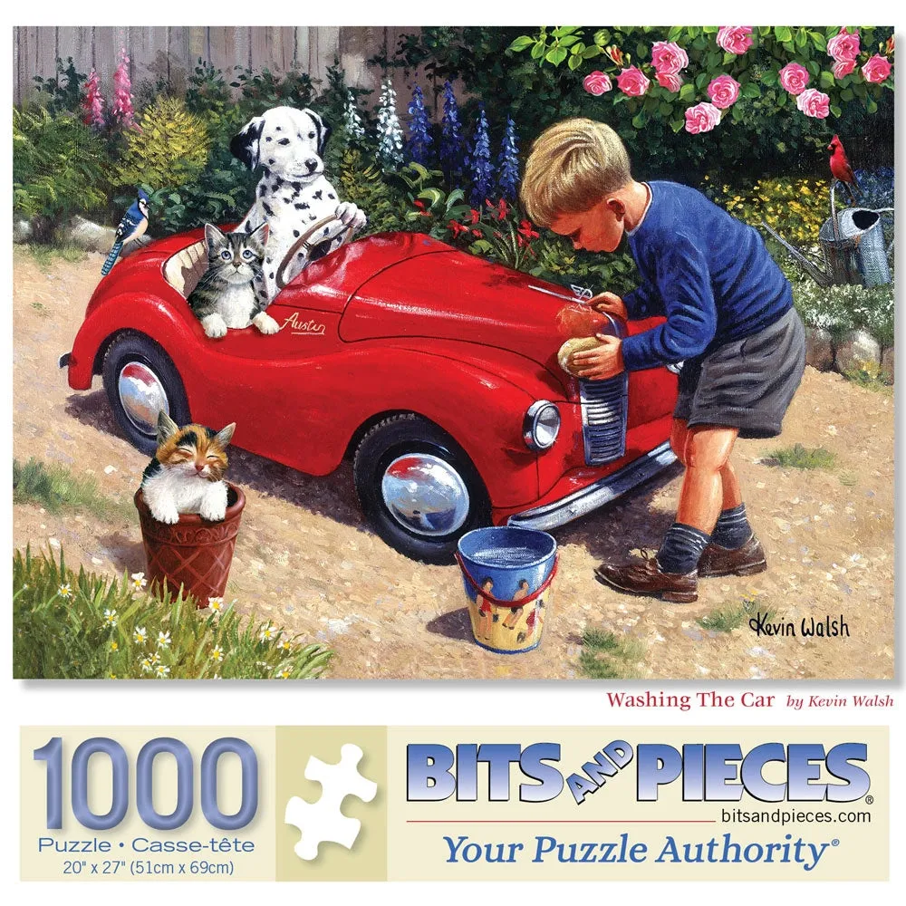Washing The Car Jigsaw Puzzle Bits and Pieces