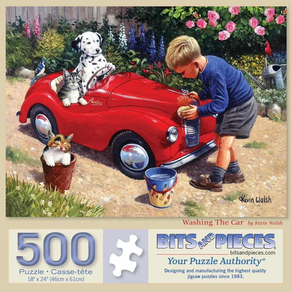 Washing The Car Jigsaw Puzzle Bits and Pieces